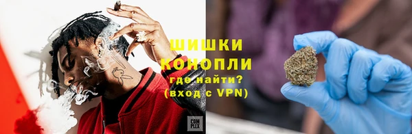 прущие грибы Алзамай