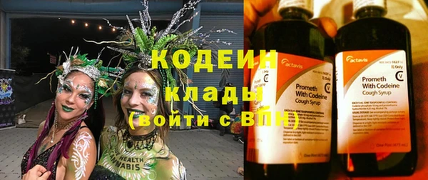 прущие грибы Алзамай